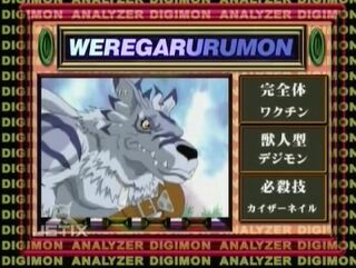 Digimon analyzer da weregarurumon en.jpg