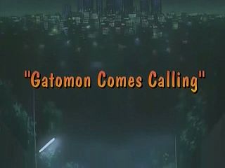 Gatomon Comes Calling)
